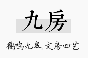 九房名字的寓意及含义