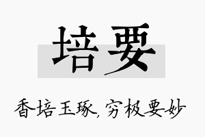 培要名字的寓意及含义