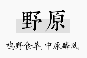 野原名字的寓意及含义