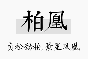 柏凰名字的寓意及含义