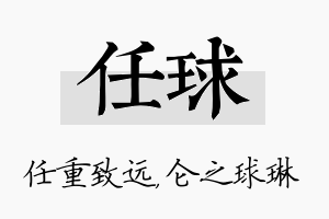 任球名字的寓意及含义