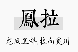 凤拉名字的寓意及含义