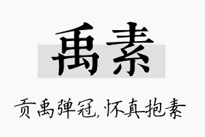 禹素名字的寓意及含义