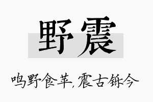 野震名字的寓意及含义