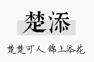 楚添名字的寓意及含义