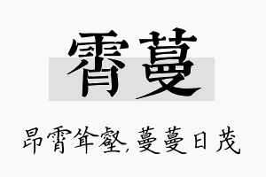 霄蔓名字的寓意及含义