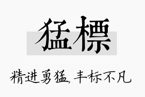 猛标名字的寓意及含义