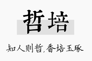 哲培名字的寓意及含义