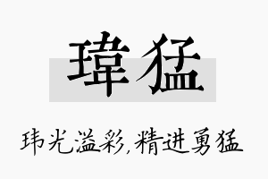 玮猛名字的寓意及含义