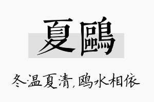 夏鸥名字的寓意及含义