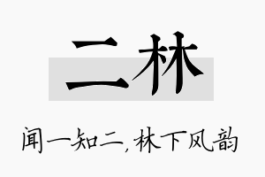 二林名字的寓意及含义