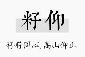 籽仰名字的寓意及含义