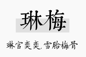 琳梅名字的寓意及含义