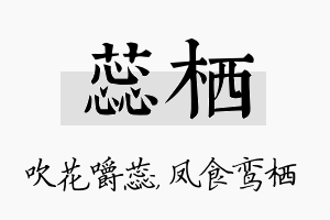 蕊栖名字的寓意及含义