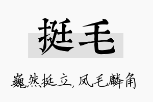 挺毛名字的寓意及含义