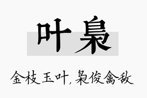 叶枭名字的寓意及含义