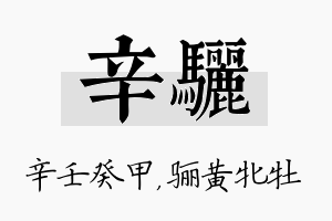 辛骊名字的寓意及含义