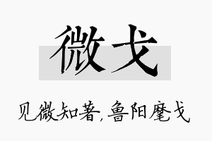 微戈名字的寓意及含义