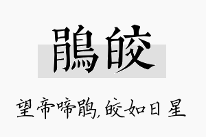 鹃皎名字的寓意及含义