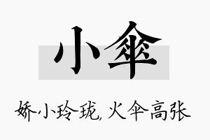 小伞名字的寓意及含义