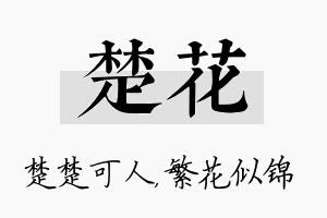 楚花名字的寓意及含义