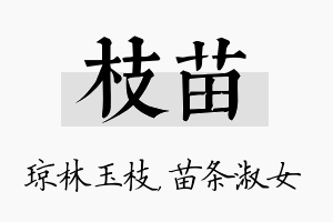 枝苗名字的寓意及含义