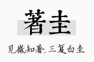 著圭名字的寓意及含义