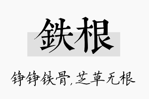 铁根名字的寓意及含义