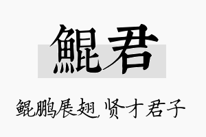 鲲君名字的寓意及含义