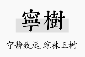 宁树名字的寓意及含义