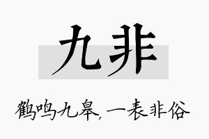 九非名字的寓意及含义