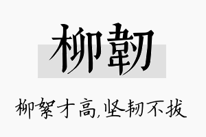 柳韧名字的寓意及含义