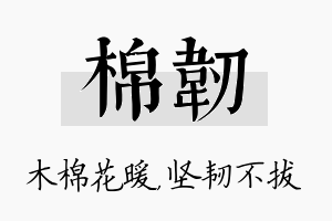 棉韧名字的寓意及含义