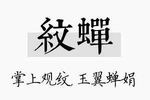 纹蝉名字的寓意及含义