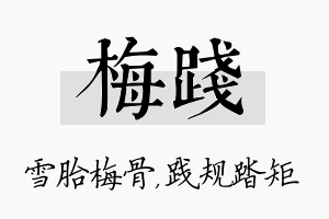 梅践名字的寓意及含义