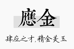 应金名字的寓意及含义