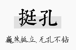 挺孔名字的寓意及含义