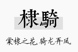 棣骑名字的寓意及含义