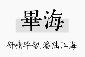 毕海名字的寓意及含义