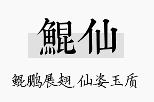 鲲仙名字的寓意及含义