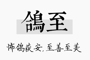 鸽至名字的寓意及含义