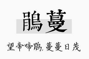 鹃蔓名字的寓意及含义