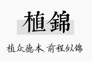 植锦名字的寓意及含义