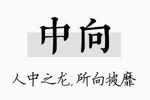 中向名字的寓意及含义