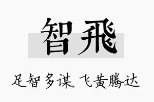 智飞名字的寓意及含义