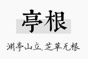 亭根名字的寓意及含义