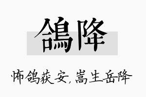 鸽降名字的寓意及含义