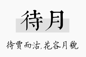 待月名字的寓意及含义