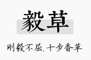 毅草名字的寓意及含义