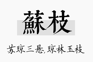 苏枝名字的寓意及含义